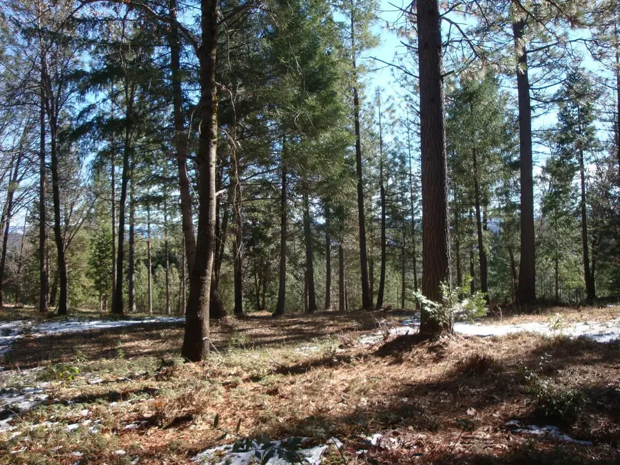 0 Foresthill, Foresthill, CA 95631 - #2