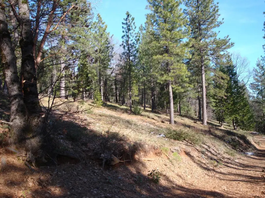 0 Foresthill, Foresthill, CA 95631 - #3