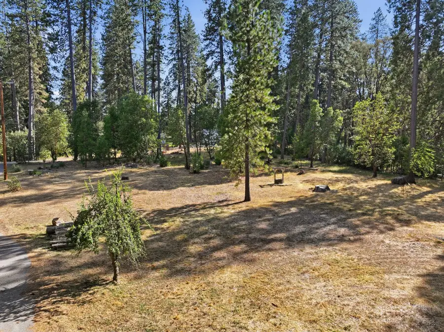 10423 Park Avenue, Nevada City, CA 95959 - #2