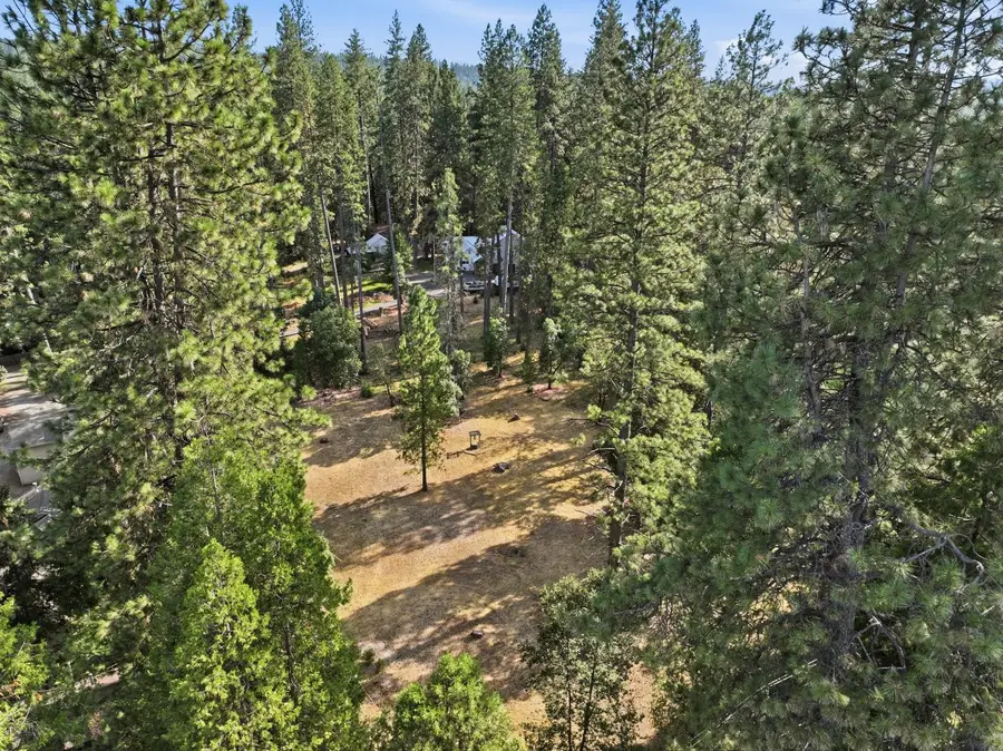 10423 Park Avenue, Nevada City, CA 95959 - #3