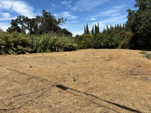 1445 Williamson Road, Manteca, CA 95337 - #2