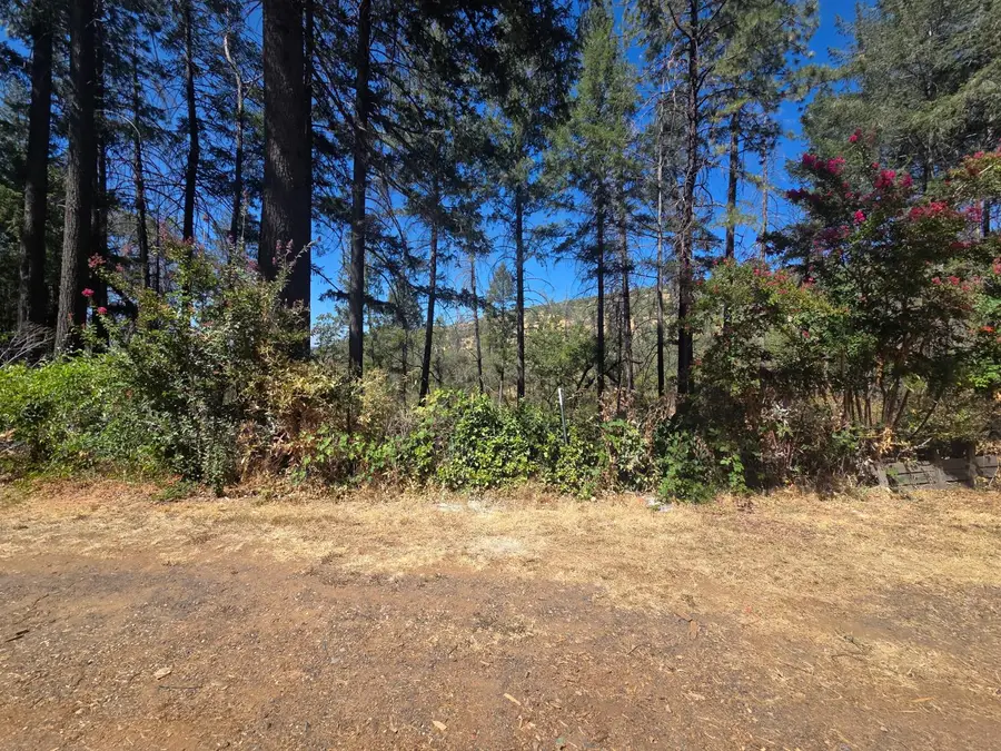 11605 Miller Peak Road, Oroville, CA 95965 - #3