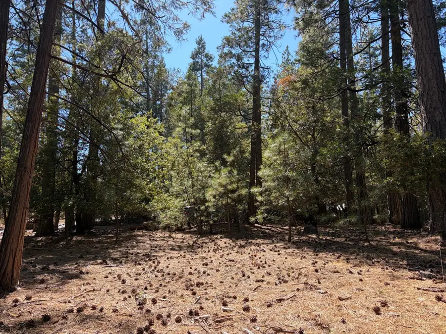 19470 Creek Drive, Pioneer, CA 95666 - #2