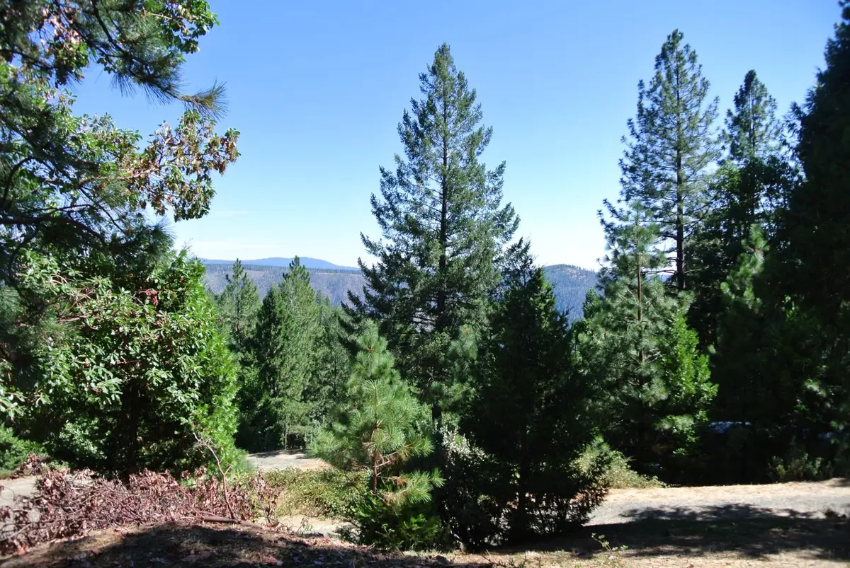 6248 Church Street, Foresthill, CA 95631 - #1
