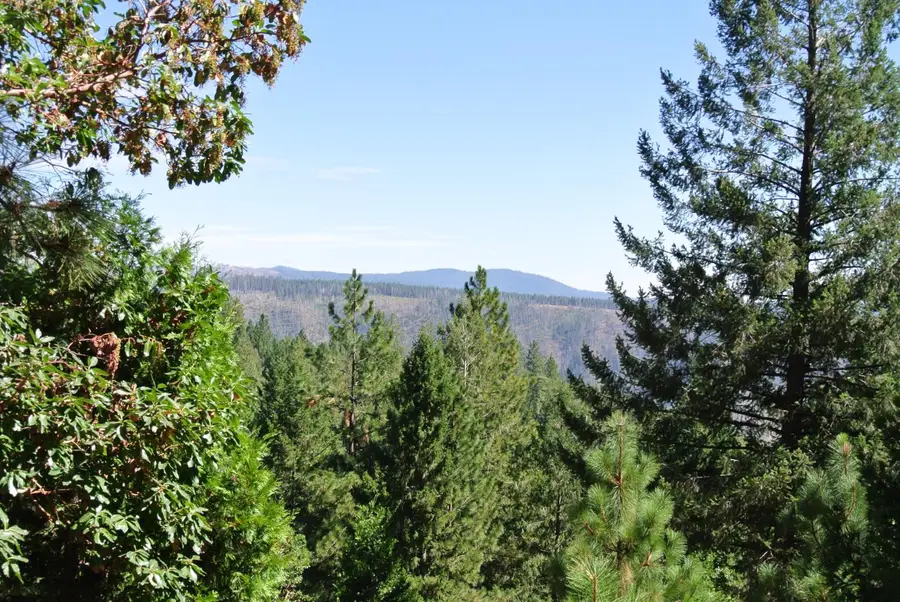 6248 Church Street, Foresthill, CA 95631 - #2