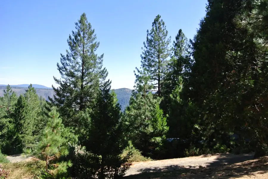 6248 Church Street, Foresthill, CA 95631 - #3