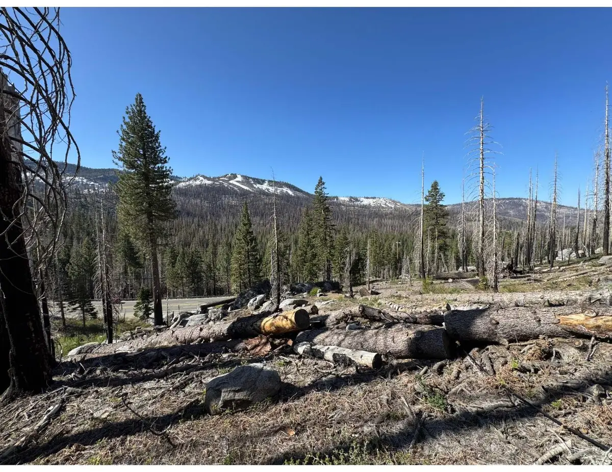 20149 Us Highway 50, South Lake Tahoe, CA 96150 - #1