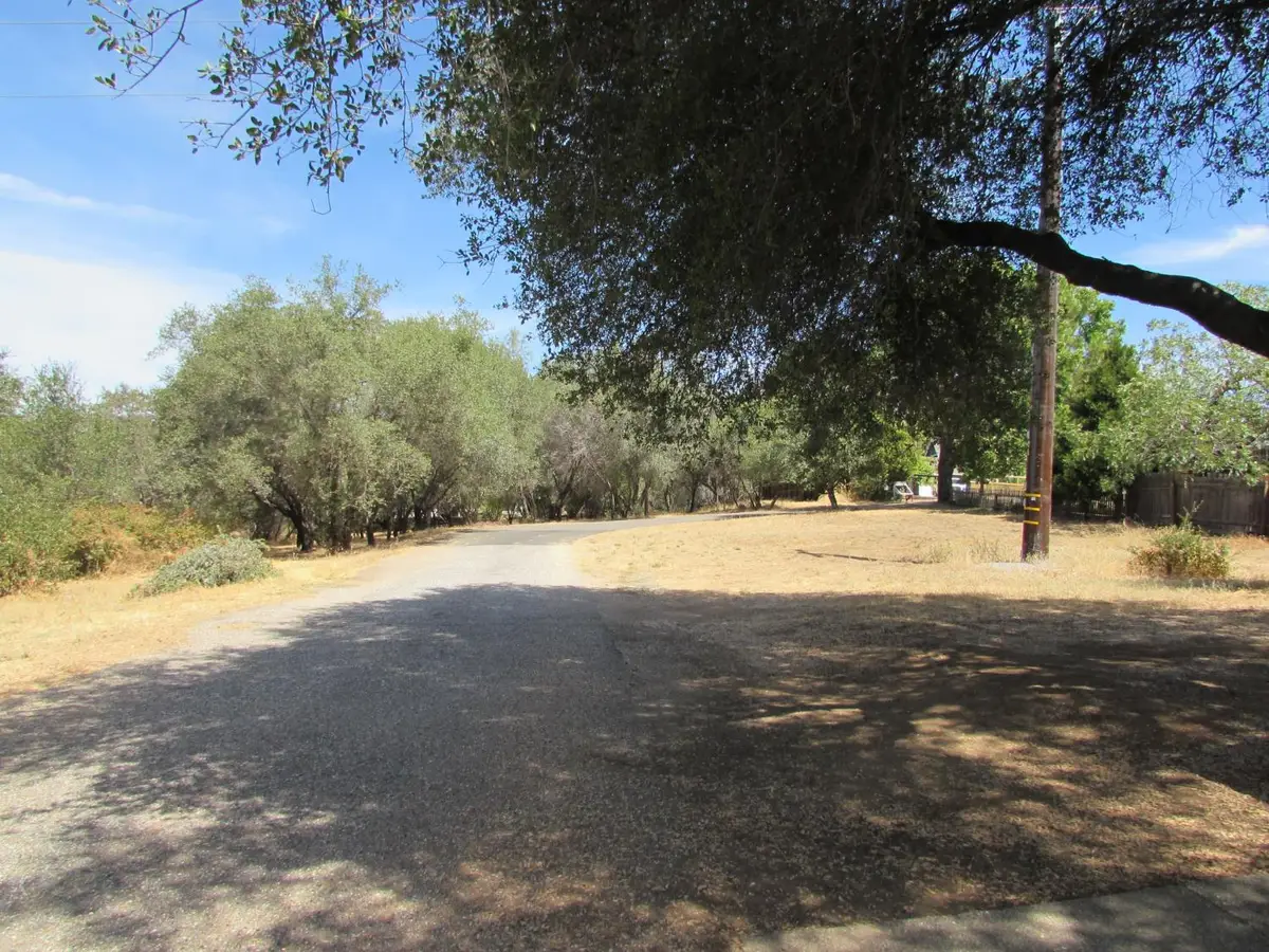13100 Pleasant Vista Lane, Auburn, CA 95603 - #1