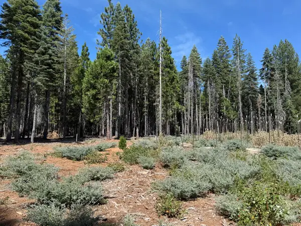 15379 Robbins Ranch Road, Nevada City, CA 95959