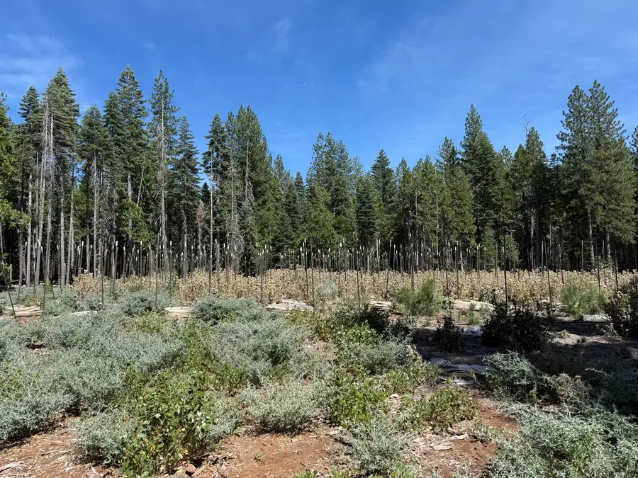 15379 Robbins Ranch Road, Nevada City, CA 95959 - #2