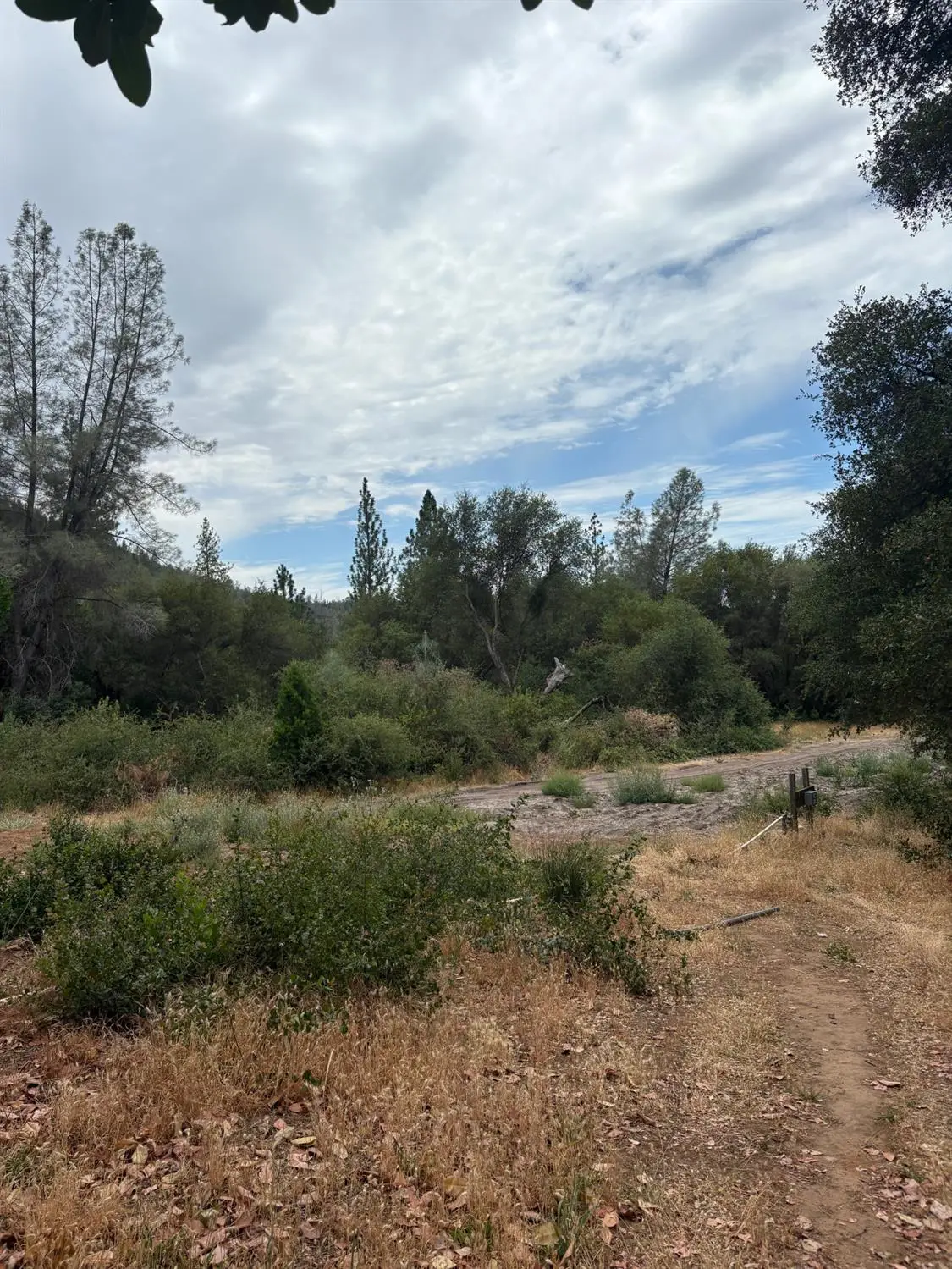 16079 Vierra Road, Bangor, CA 95914 - #1
