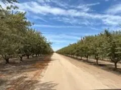 11611 S Union Road, Manteca, CA 95336 - #1