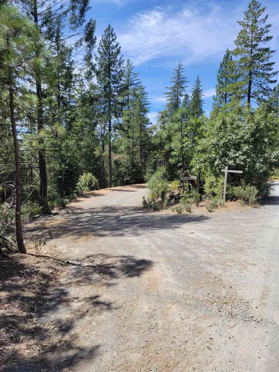 2678 Christmas Tree Lane, Georgetown, CA 95634 - #3