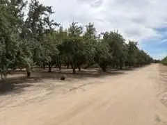 11500 S Airport Way, Manteca, CA 95336