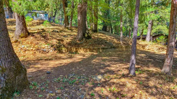 12277 Pawnee Trail, Nevada City, CA 95959