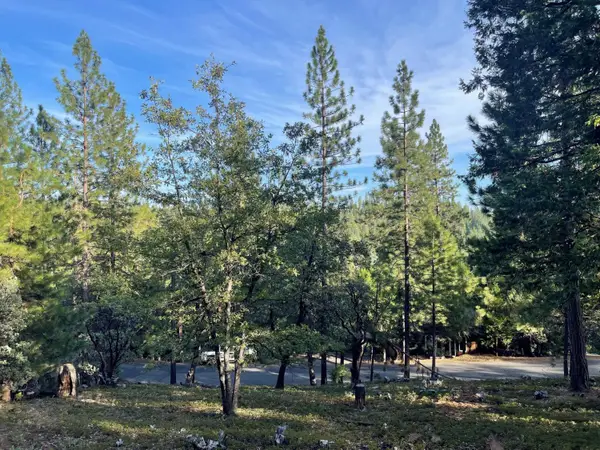 2112 Manzanita Drive, Arnold, CA 95223