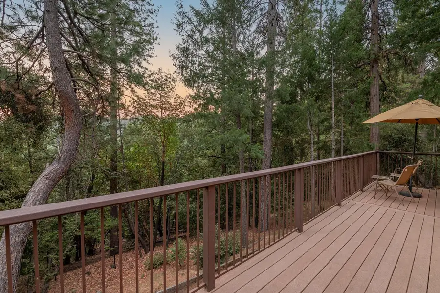 16830 Mckenzie Drive, Pioneer, CA 95666 - #3