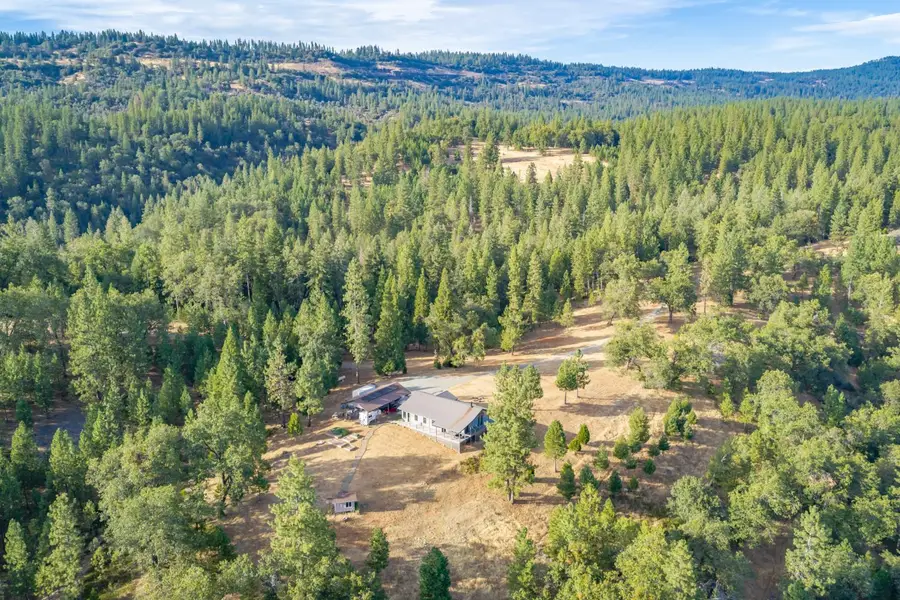 7401 Schaad Road, Wilseyville, CA 95257 - #2