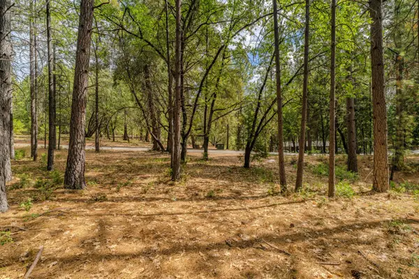 12900 Tabeaud Road, Pine Grove, CA 95665