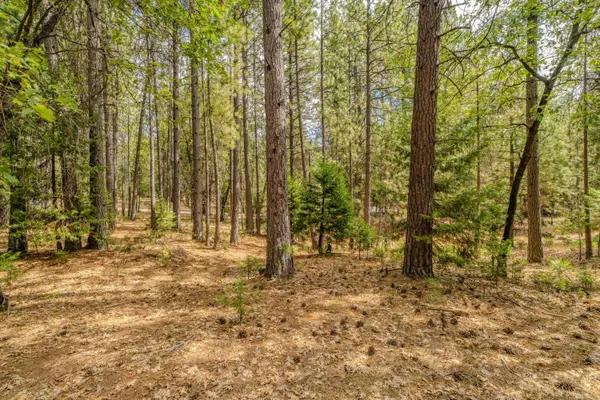 0 Tabeaud Road, Pine Grove, CA 95665