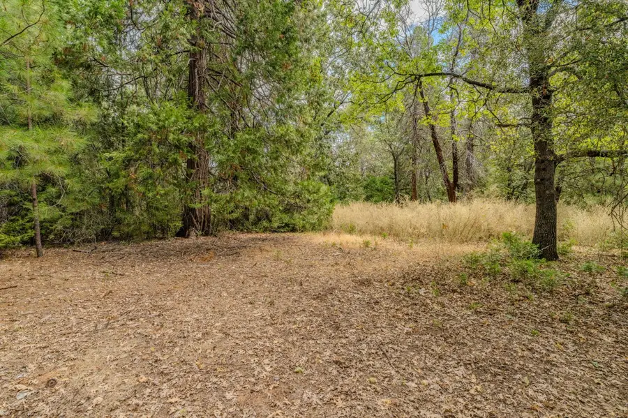 0 Tabeaud Road, Pine Grove, CA 95665 - #3