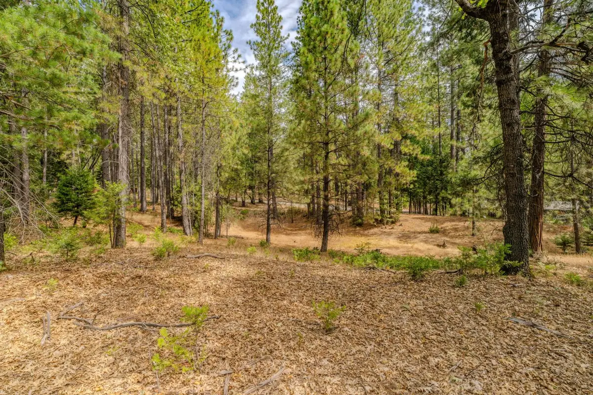 20881 French Gulch Road, Pine Grove, CA 95665 - #1