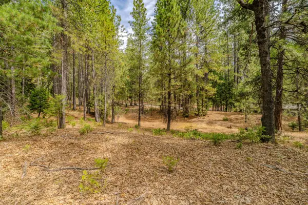20881 French Gulch Road, Pine Grove, CA 95665