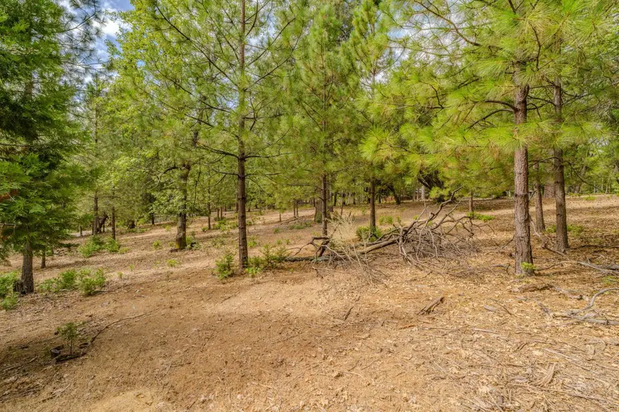 20881 French Gulch Road, Pine Grove, CA 95665 - #2