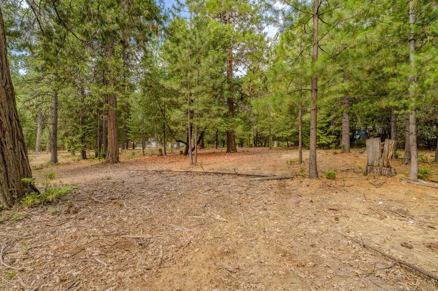 20881 French Gulch Road, Pine Grove, CA 95665 - #3