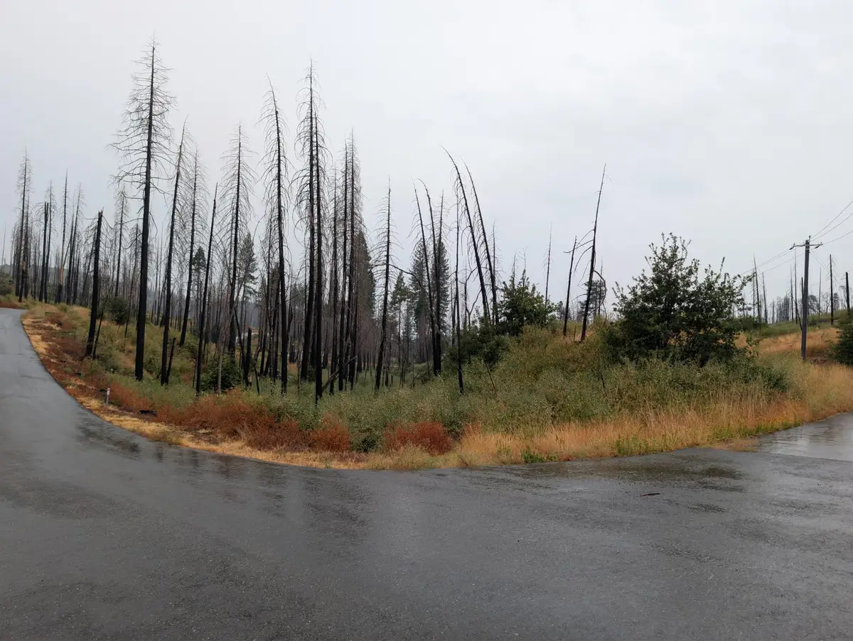 7290 Grizzly Creek Drive, Grizzly Flats, CA 95636 - #1