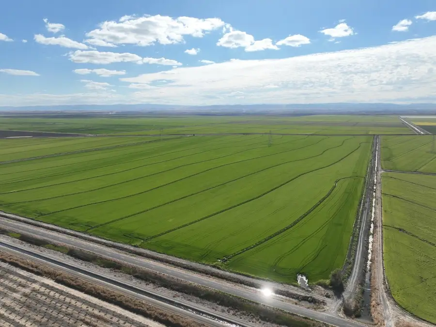 3970 County Road 95b, Knights Landing, CA 95645 - #2