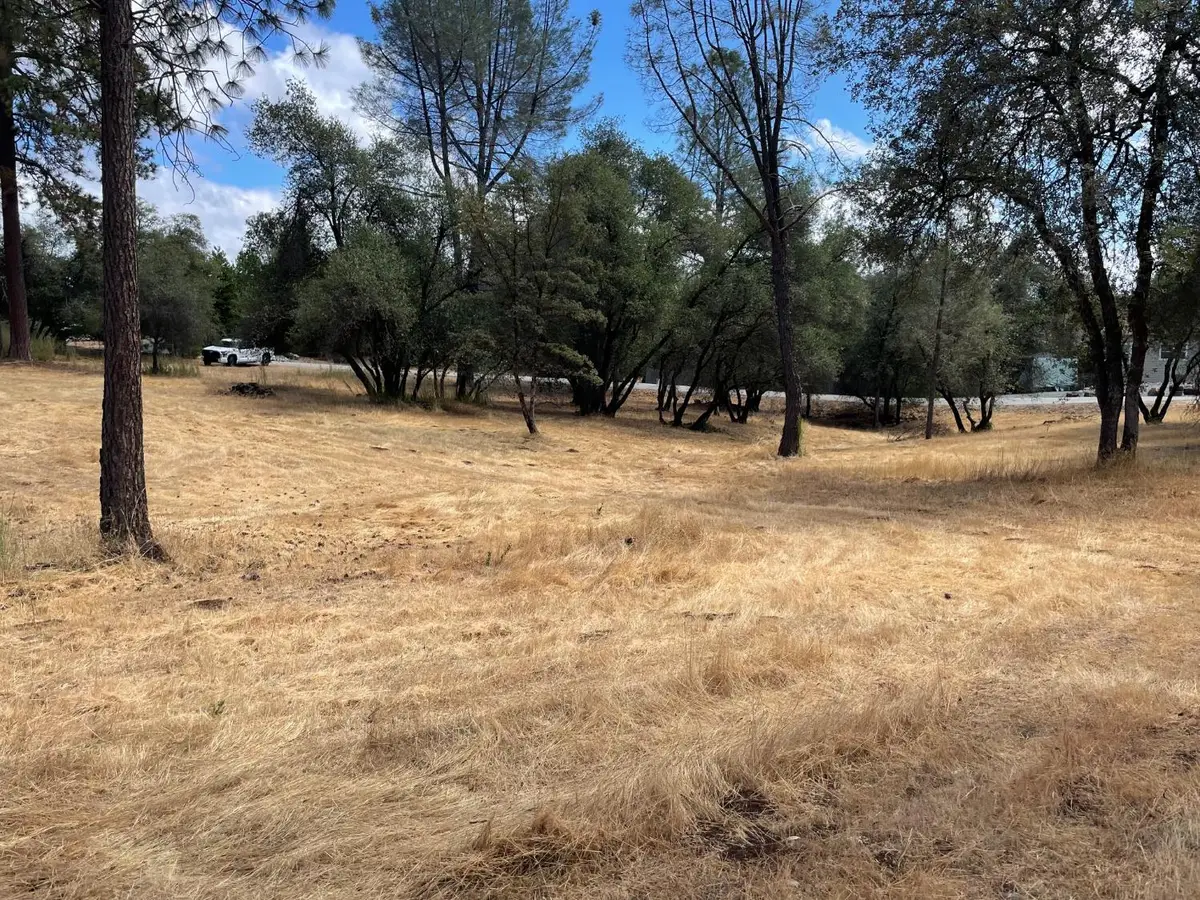 349 Cuckoo Court, Applegate, CA 95703 - #1