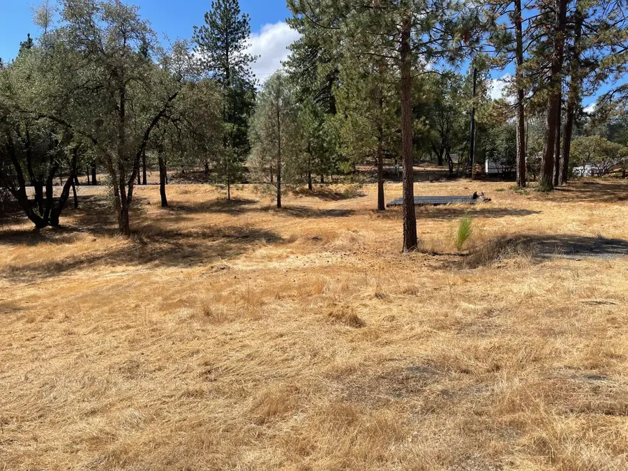 349 Cuckoo Court, Applegate, CA 95703 - #2
