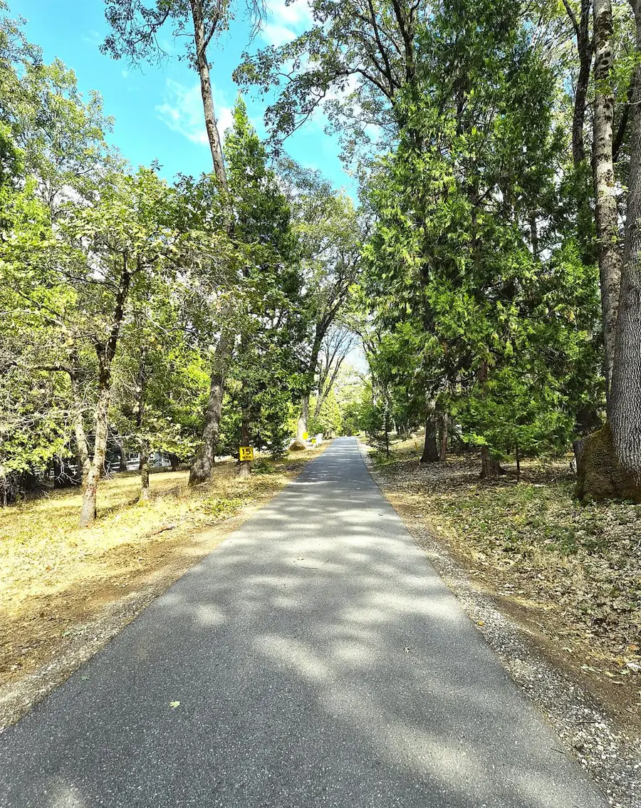 13117 Madrone Forest Drive, Nevada City, CA 95959 - #3