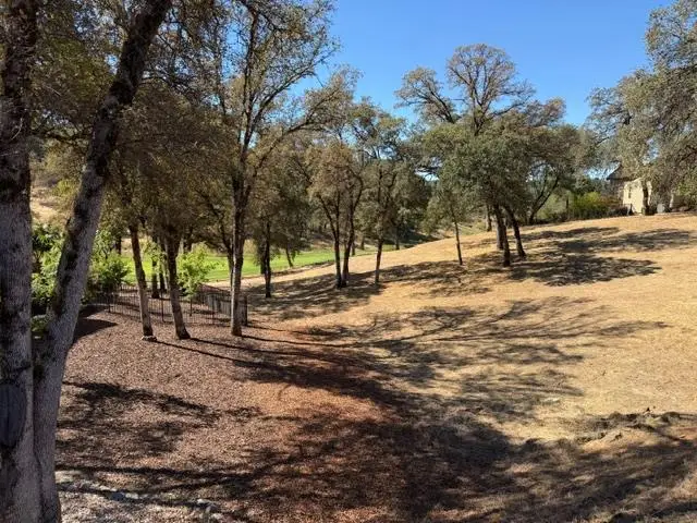 13042 Austin Forest Circle, Auburn, CA 95602 - #3