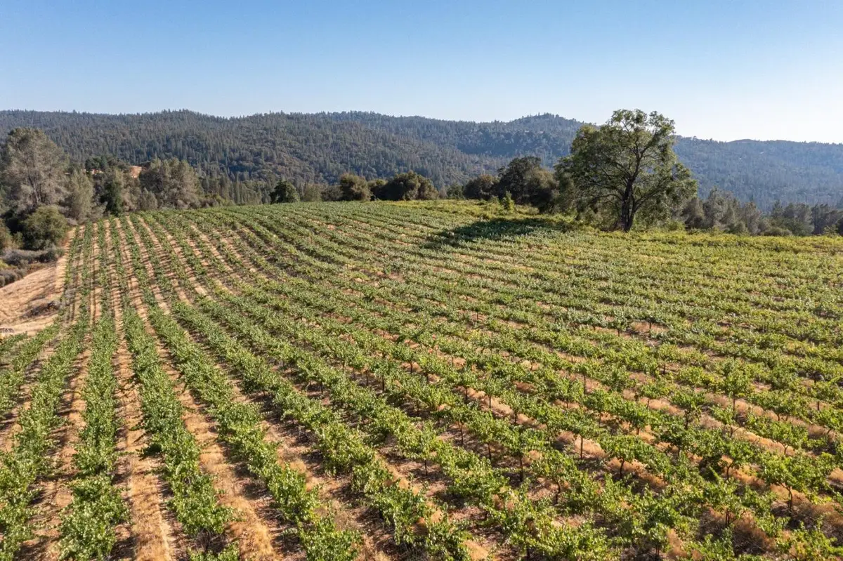 5200 Butte Creek Road, Somerset, CA 95684 - #1