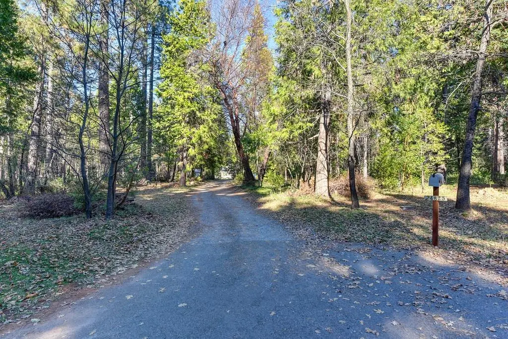 24825 Harrison Street, Foresthill, CA 95631 - #1