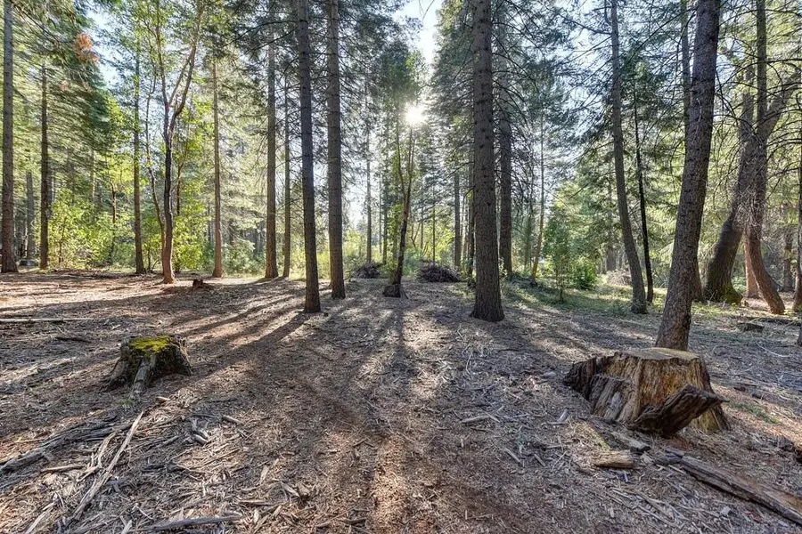 24825 Harrison Street, Foresthill, CA 95631 - #2