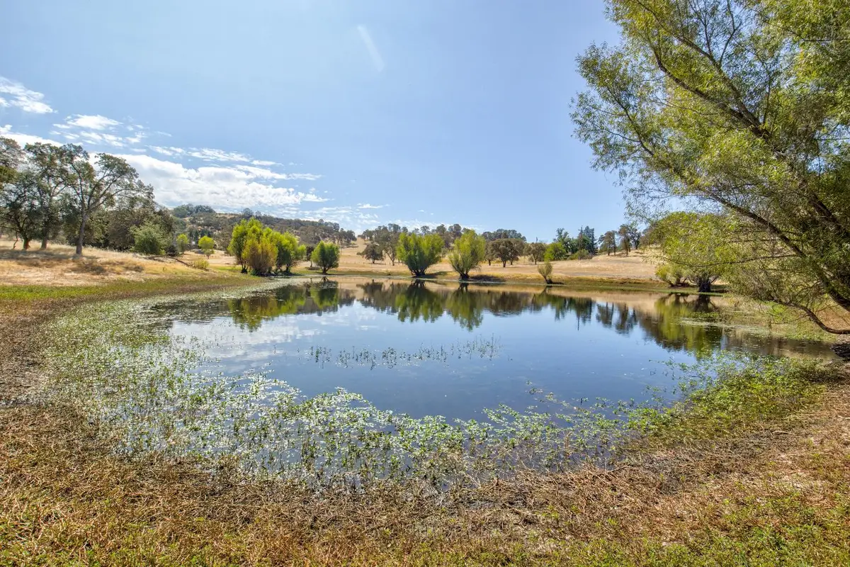 5065 Messing Road, Burson, CA 95225 - #1