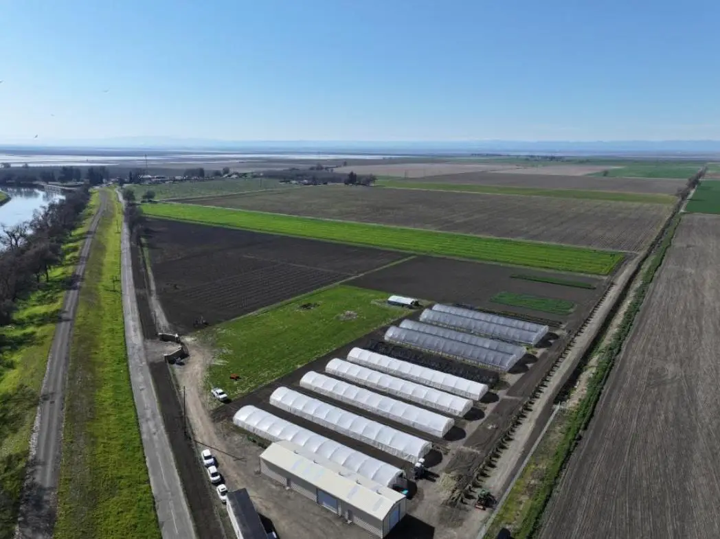 1065 Wilson Bend Road, Grimes, CA 95950 - #1