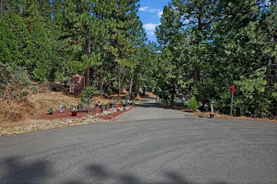 6295 Dolly Varden Lane, Pollock Pines, CA 95726 - #3