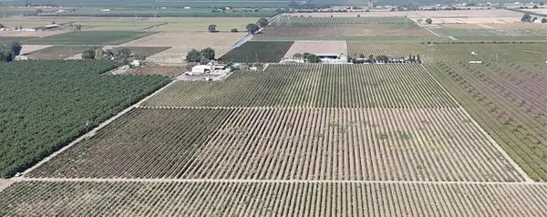 21924 N Ray Road, Lodi, CA 95242
