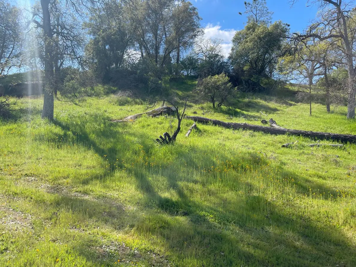 0 Deep Forest Drive, Coarsegold, CA 93614 - #1