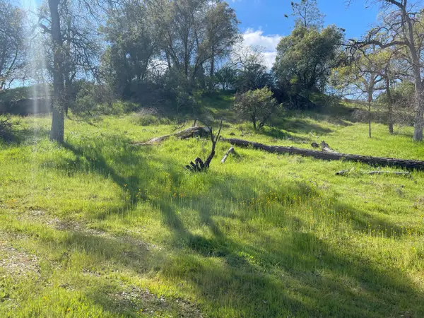0 Deep Forest Drive, Coarsegold, CA 93614