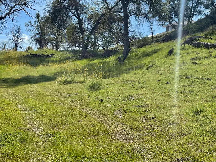 0 Deep Forest Drive, Coarsegold, CA 93614 - #3