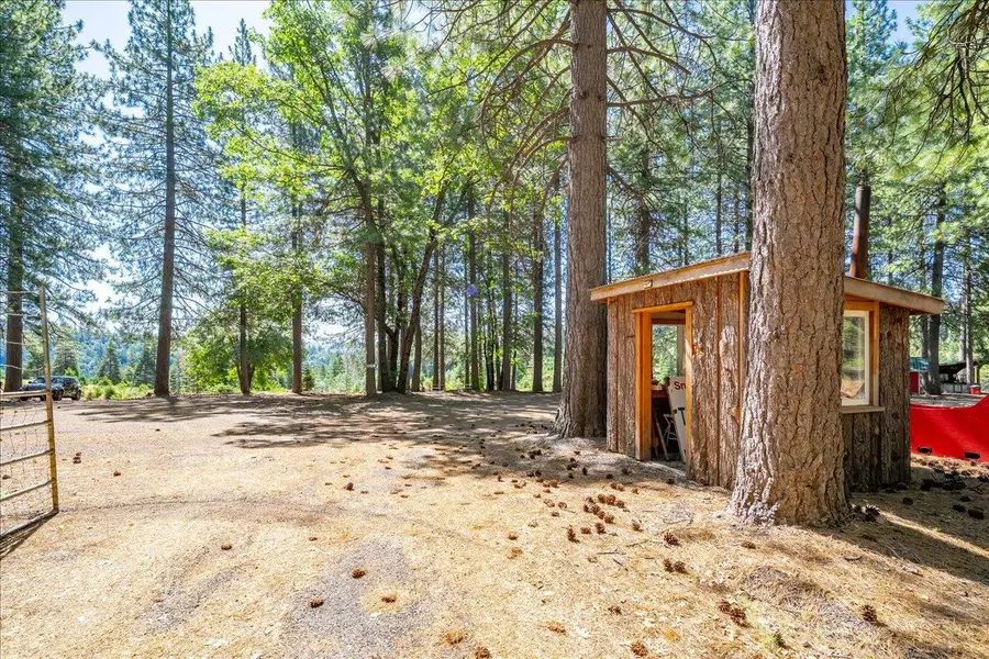 30100 Foresthill Road, Foresthill, CA 95631 - #3