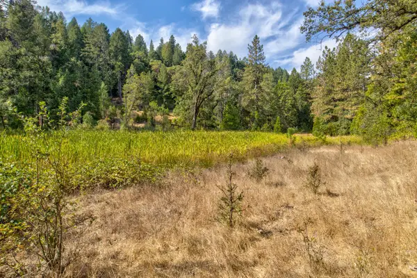 26835 State Highway 88, Pioneer, CA 95666