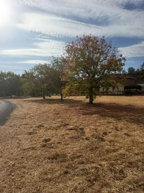 576 Quiet Place, Murphys, CA 95247 - #1
