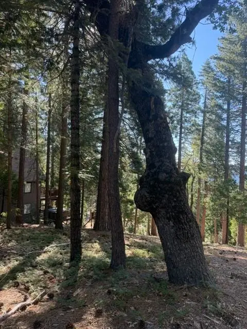 5186 Meko, Camp Connell, CA 95223 - #3