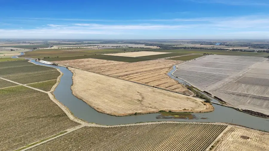 41450 Morse Road, Clarksburg, CA 95612 - #2